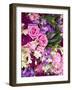 Thailand, Bangkok, Colorful Flower Market Display-Terry Eggers-Framed Photographic Print