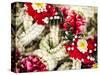 Thailand, Bangkok Street Flower Market. Flowers ready for display-Terry Eggers-Stretched Canvas