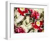 Thailand, Bangkok Street Flower Market. Flowers ready for display-Terry Eggers-Framed Photographic Print