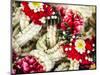 Thailand, Bangkok Street Flower Market. Flowers ready for display-Terry Eggers-Mounted Photographic Print