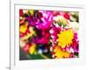 Thailand, Bangkok Street Flower Market. Flowers ready for display.-Terry Eggers-Framed Photographic Print