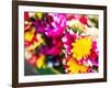 Thailand, Bangkok Street Flower Market. Flowers ready for display.-Terry Eggers-Framed Photographic Print