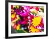 Thailand, Bangkok Street Flower Market. Flowers ready for display.-Terry Eggers-Framed Photographic Print