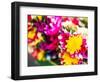 Thailand, Bangkok Street Flower Market. Flowers ready for display.-Terry Eggers-Framed Photographic Print