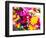 Thailand, Bangkok Street Flower Market. Flowers ready for display.-Terry Eggers-Framed Photographic Print