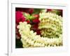 Thailand, Bangkok Street Flower Market. Flowers ready for display.-Terry Eggers-Framed Photographic Print