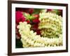 Thailand, Bangkok Street Flower Market. Flowers ready for display.-Terry Eggers-Framed Photographic Print