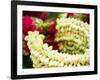 Thailand, Bangkok Street Flower Market. Flowers ready for display.-Terry Eggers-Framed Photographic Print