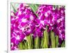 Thailand, Bangkok Street Flower Market. Flowers ready for display.-Terry Eggers-Framed Photographic Print