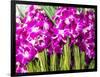 Thailand, Bangkok Street Flower Market. Flowers ready for display.-Terry Eggers-Framed Photographic Print