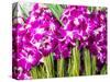 Thailand, Bangkok Street Flower Market. Flowers ready for display.-Terry Eggers-Stretched Canvas