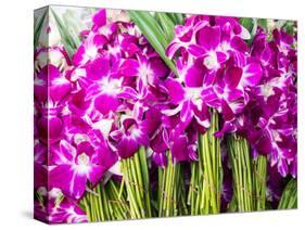 Thailand, Bangkok Street Flower Market. Flowers ready for display.-Terry Eggers-Stretched Canvas