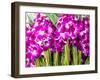 Thailand, Bangkok Street Flower Market. Flowers ready for display.-Terry Eggers-Framed Photographic Print