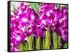 Thailand, Bangkok Street Flower Market. Flowers ready for display.-Terry Eggers-Framed Stretched Canvas