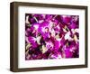 Thailand, Bangkok Street Flower Market. Flowers ready for display.-Terry Eggers-Framed Photographic Print