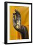 Thailand. Buddha Statue hand with gold leaf tokens.-Brenda Tharp-Framed Photographic Print