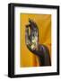 Thailand. Buddha Statue hand with gold leaf tokens.-Brenda Tharp-Framed Photographic Print