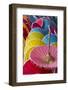 Thailand, Chiang Mai Province, Bo Sang. Umbrella Factory-Emily Wilson-Framed Photographic Print