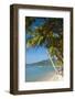 Thailand: Coconut palms lining Lamai Beach, Lamai Bay (Ao Lamai), Ko Samui (photo)-null-Framed Photographic Print