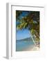 Thailand: Coconut palms lining Lamai Beach, Lamai Bay (Ao Lamai), Ko Samui (photo)-null-Framed Photographic Print