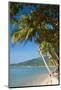 Thailand: Coconut palms lining Lamai Beach, Lamai Bay (Ao Lamai), Ko Samui (photo)-null-Mounted Photographic Print