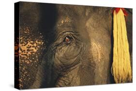 Thailand, Elephant Eye-Russell Young-Stretched Canvas