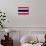 Thailand Flag Design with Wood Patterning - Flags of the World Series-Philippe Hugonnard-Mounted Art Print displayed on a wall