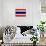 Thailand Flag Design with Wood Patterning - Flags of the World Series-Philippe Hugonnard-Art Print displayed on a wall