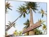 Thailand, Ko Samui, Chaweng Beach, Sign on Palm Tree-Shaun Egan-Mounted Photographic Print