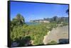 Thailand, Krabi, Hat Railay Beach-Michele Falzone-Framed Stretched Canvas