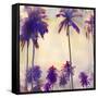 Thailand Palms 1-Victoria Brown-Framed Stretched Canvas