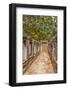 Thailand. Phimai Historical Park. Ruins of ancient Khmer temple complex.-Tom Haseltine-Framed Photographic Print