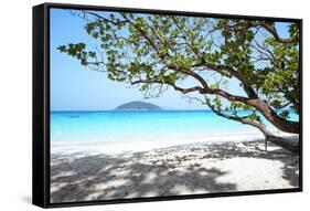 Thailand, Similan Islands. Tropical Beach on Island N.4-Matteo Colombo-Framed Stretched Canvas