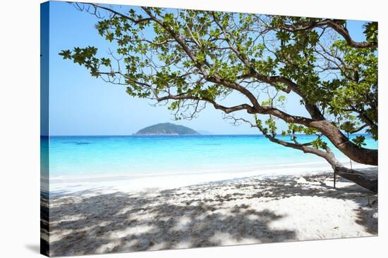 Thailand, Similan Islands. Tropical Beach on Island N.4-Matteo Colombo-Stretched Canvas