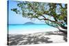 Thailand, Similan Islands. Tropical Beach on Island N.4-Matteo Colombo-Stretched Canvas