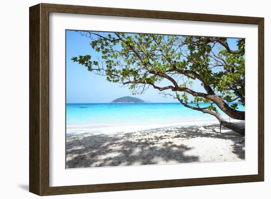 Thailand, Similan Islands. Tropical Beach on Island N.4-Matteo Colombo-Framed Photographic Print