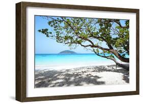 Thailand, Similan Islands. Tropical Beach on Island N.4-Matteo Colombo-Framed Photographic Print