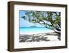 Thailand, Similan Islands. Tropical Beach on Island N.4-Matteo Colombo-Framed Photographic Print