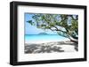 Thailand, Similan Islands. Tropical Beach on Island N.4-Matteo Colombo-Framed Photographic Print