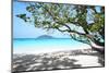 Thailand, Similan Islands. Tropical Beach on Island N.4-Matteo Colombo-Mounted Photographic Print