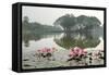 Thailand, Sukhothai. Water Lilies in Front of Wat Traphang Nguen-Kevin Oke-Framed Stretched Canvas