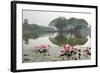 Thailand, Sukhothai. Water Lilies in Front of Wat Traphang Nguen-Kevin Oke-Framed Photographic Print