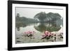 Thailand, Sukhothai. Water Lilies in Front of Wat Traphang Nguen-Kevin Oke-Framed Photographic Print