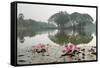 Thailand, Sukhothai. Water Lilies in Front of Wat Traphang Nguen-Kevin Oke-Framed Stretched Canvas