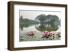 Thailand, Sukhothai. Water Lilies in Front of Wat Traphang Nguen-Kevin Oke-Framed Photographic Print