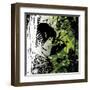 Thailand-Bill Ben-Framed Art Print