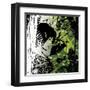 Thailand-Bill Ben-Framed Art Print