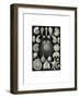 Thalamophora, 1899-1904-null-Framed Giclee Print