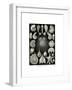 Thalamophora, 1899-1904-null-Framed Giclee Print