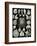 Thalamphora-Ernst Haeckel-Framed Art Print